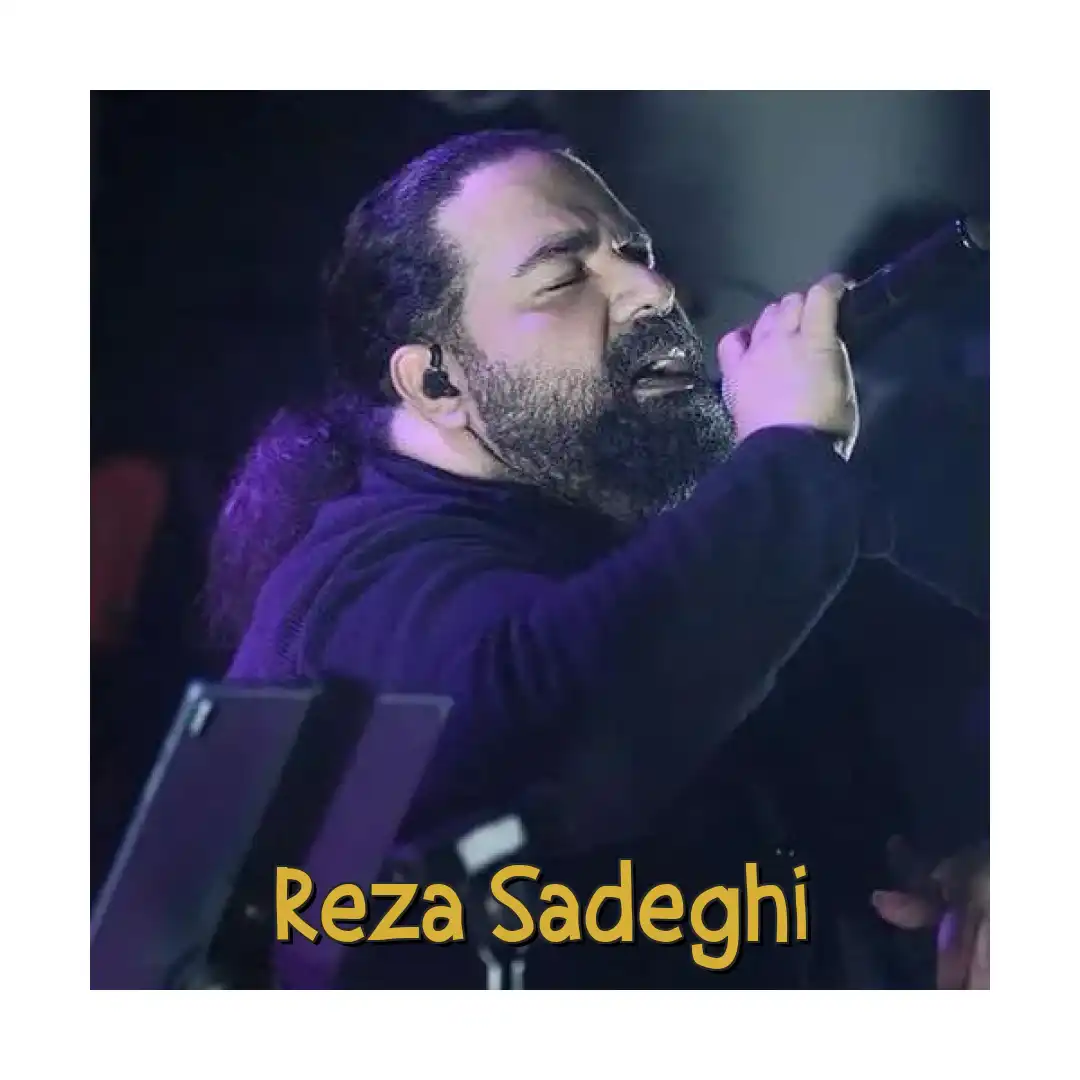 رضا صادقی دلم گفت