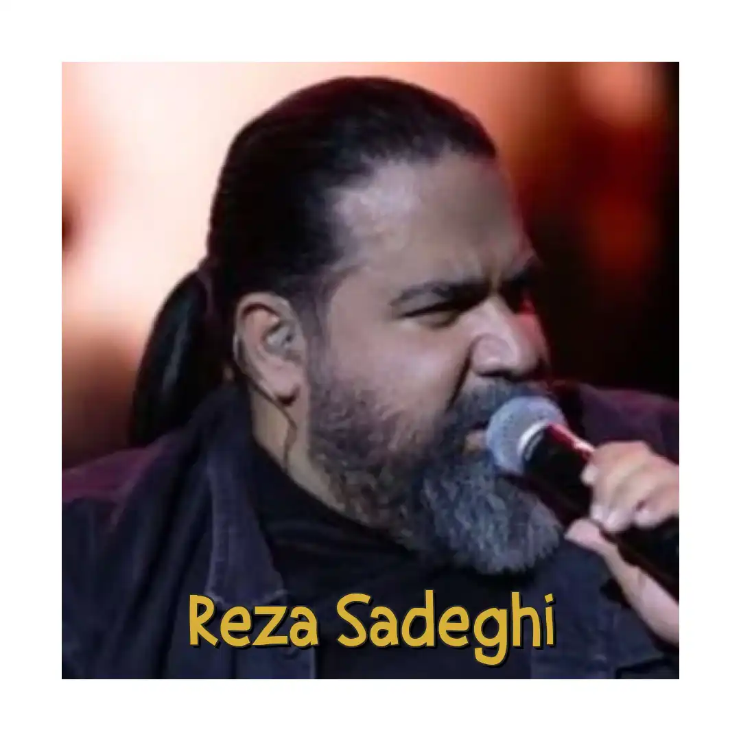 رضا صادقی دروغ گفت