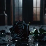 دانلود آهنگ ویناک بی معرفت
