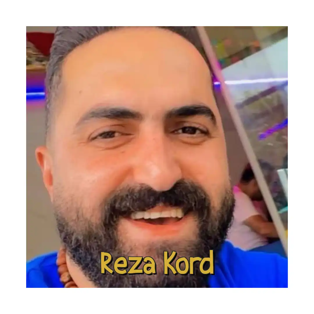 رضا کرد سطح شهر