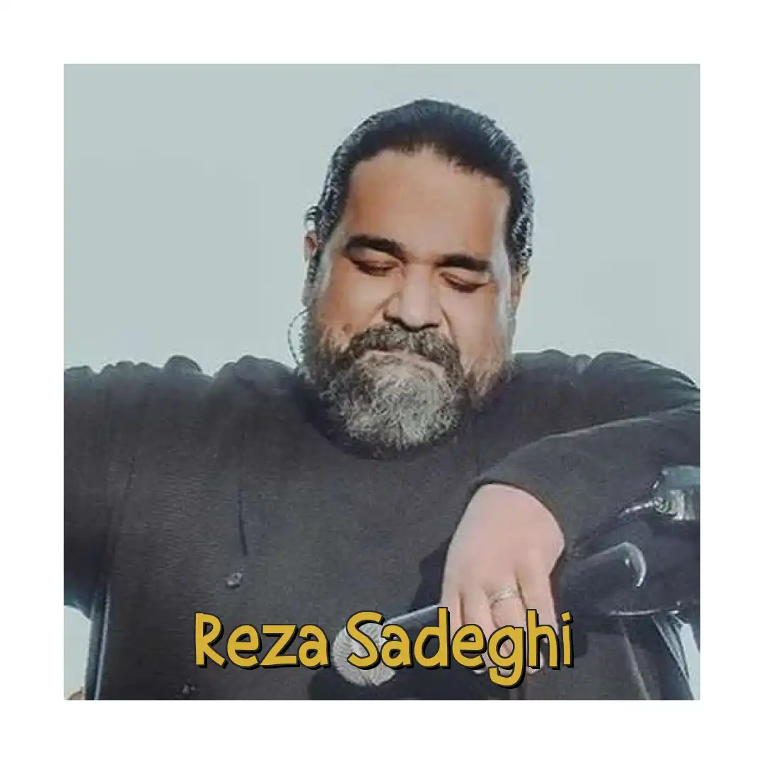 رضا صادقی بهونه منطقی
