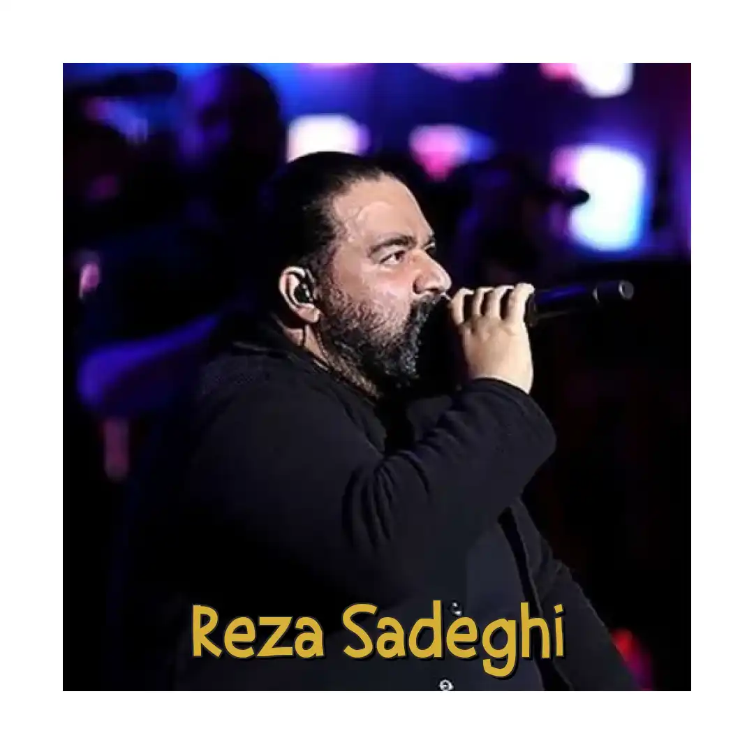 رضا صادقی دیگه نمیتونم