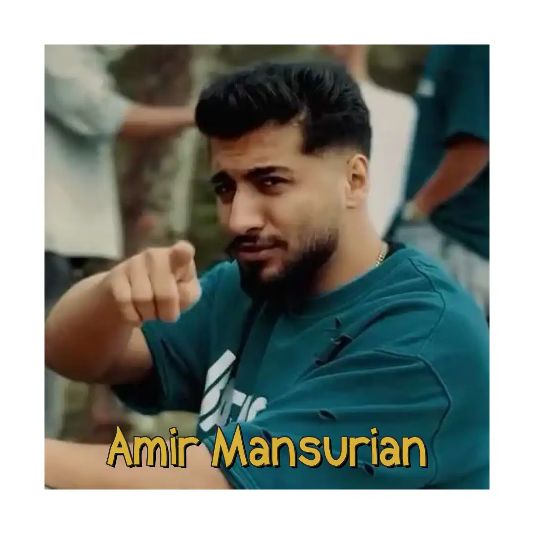 امیر منصوریان مجنون