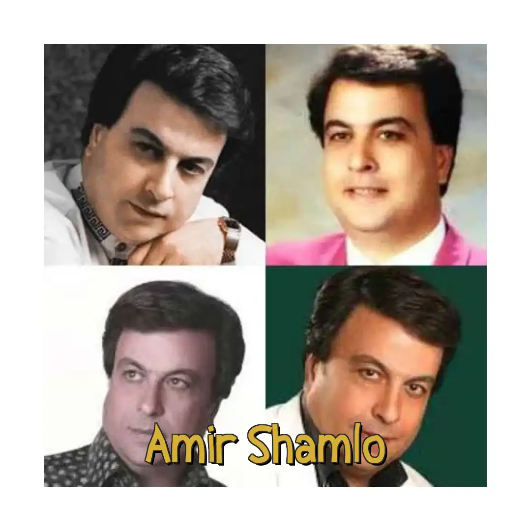 امیر شاملو دل ﺗﻮ ﺟﺎم ﺑﻠﻮره