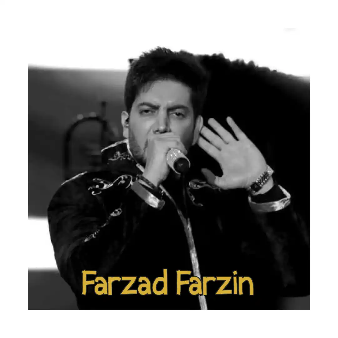 فرزاد فرزین سکوت