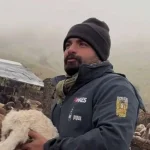 دانلود آهنگ مهدی کارگر داد بیداد