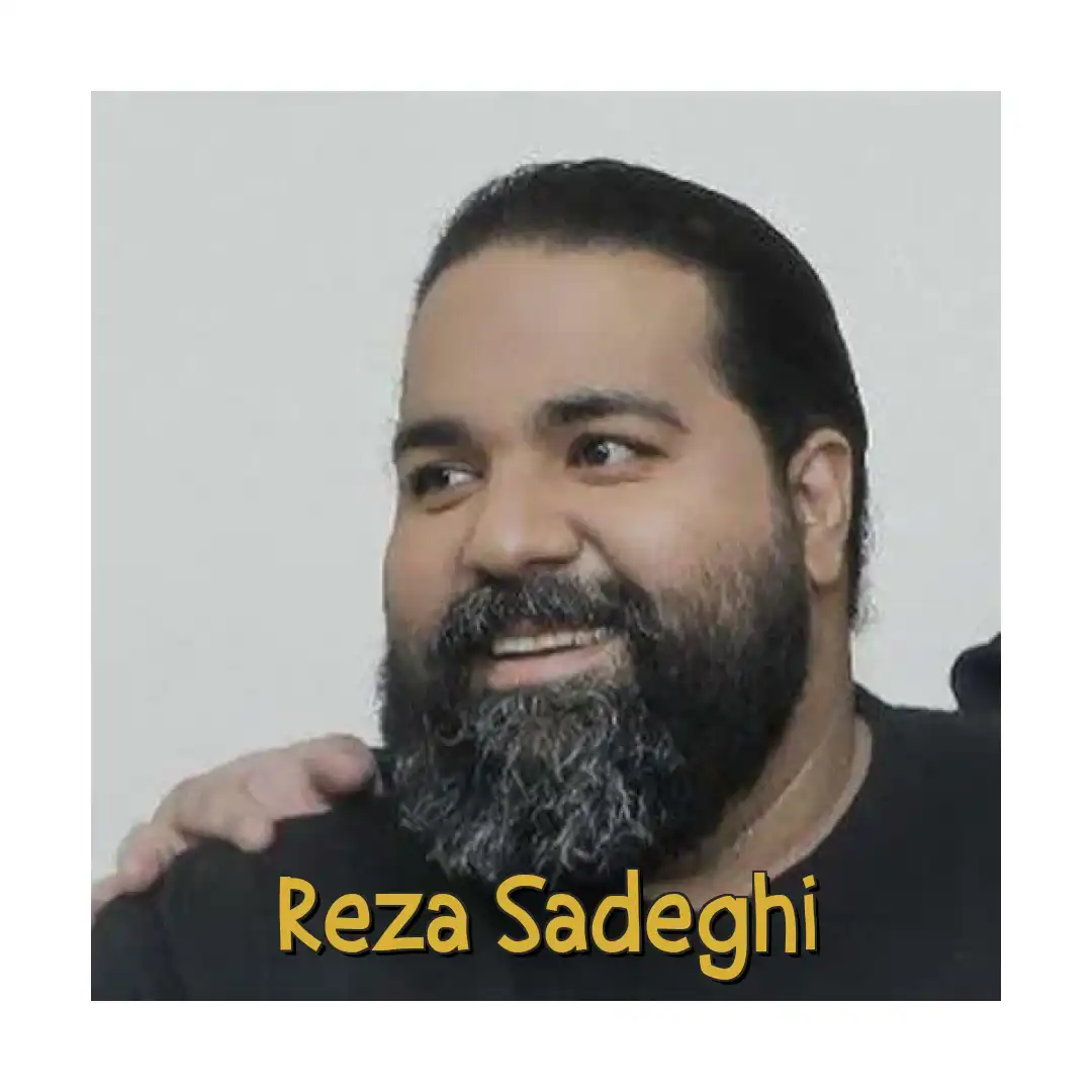 رضا صادقی خداحافظ