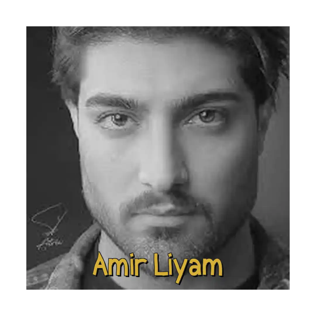 امیر لیام بزار بره انگاری مسافره