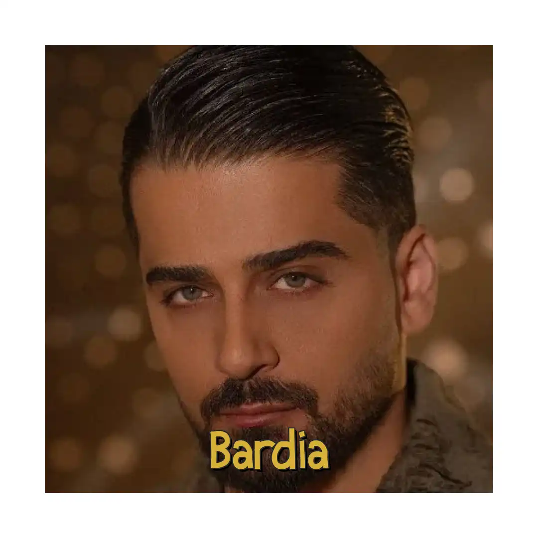 بردیا آدم برفیا