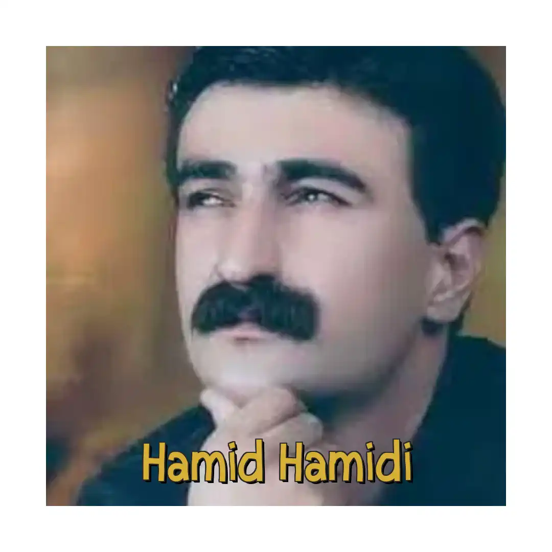 حمید حمیدی سفر