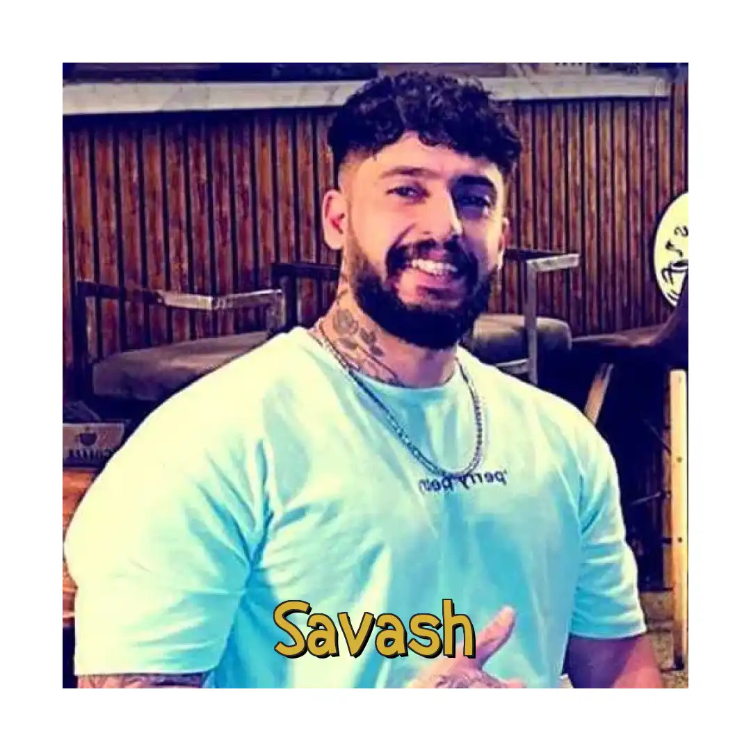 ساواش جیگر گوشه