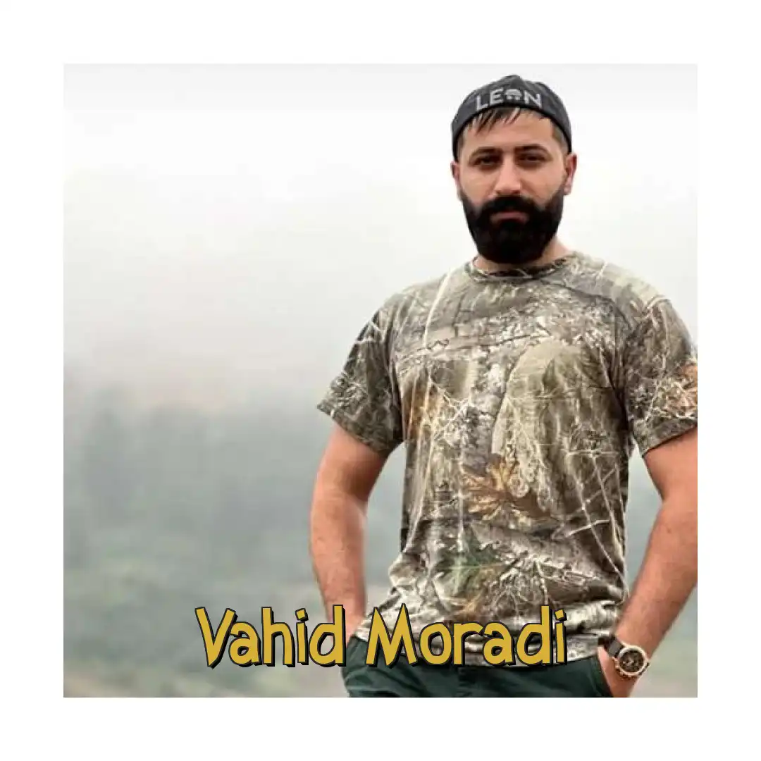 وحید مرادی ماشین عروس