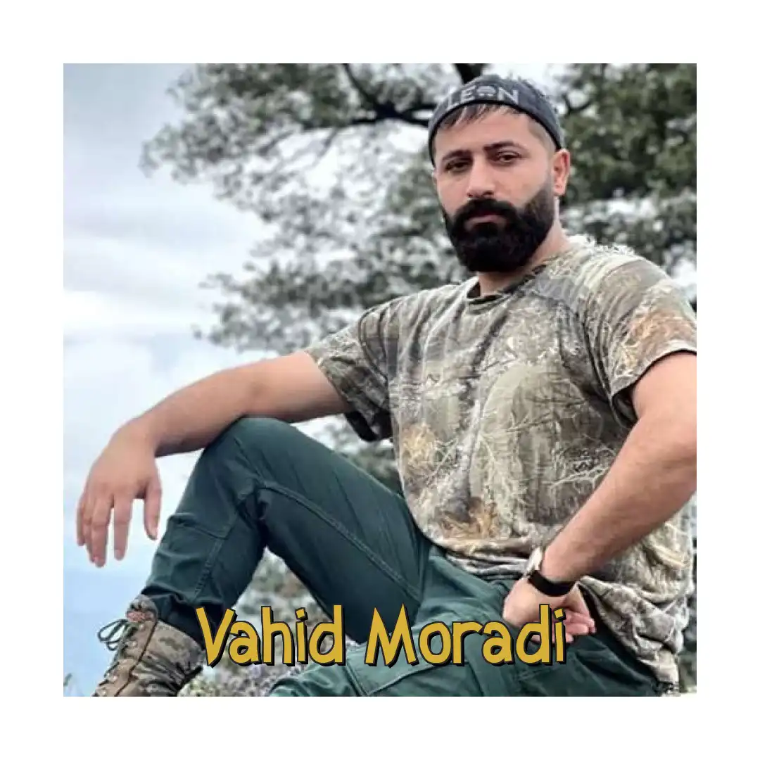 وحید مرادی مواظب خودت باش