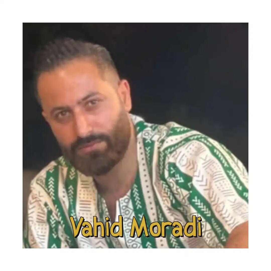 وحید مرادی تولدی شو