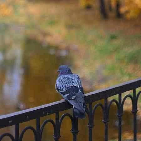 فاطمه مهلبان  زندگیم