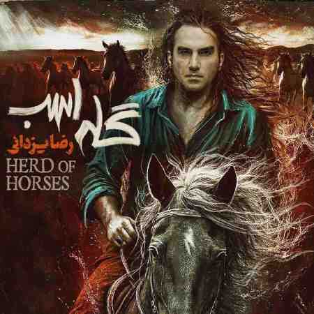 رضا یزدانی گله اسب