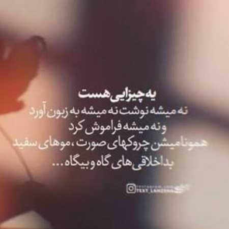 گوگوش ( هوش مصنوعی ) نقطه امن من شونه هاته