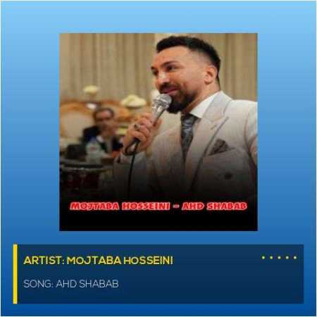مجتبی حسینی عهد شباب
