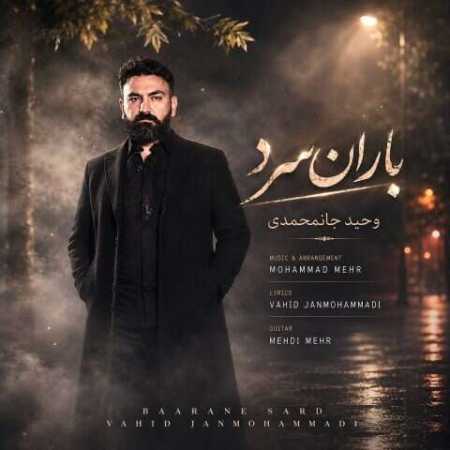 وحید جان محمدی باران سرد