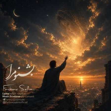 فریبرز سلیمی بشنو مرا