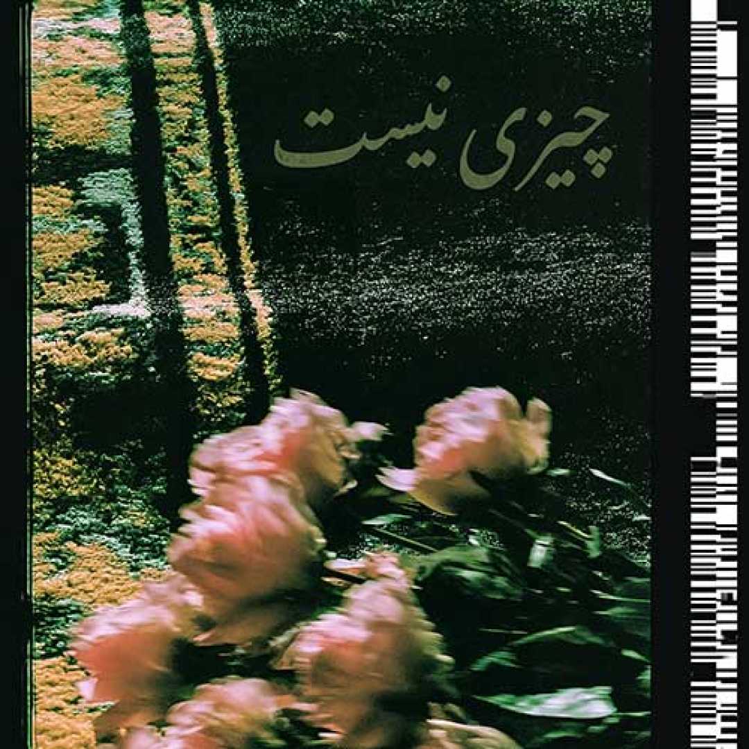 حامد دهقانی چیزی نیست