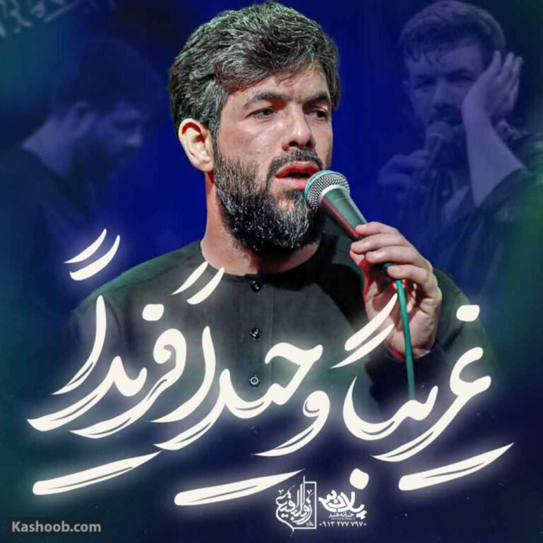 حسین ستوده غریبا وحیدا فریدا