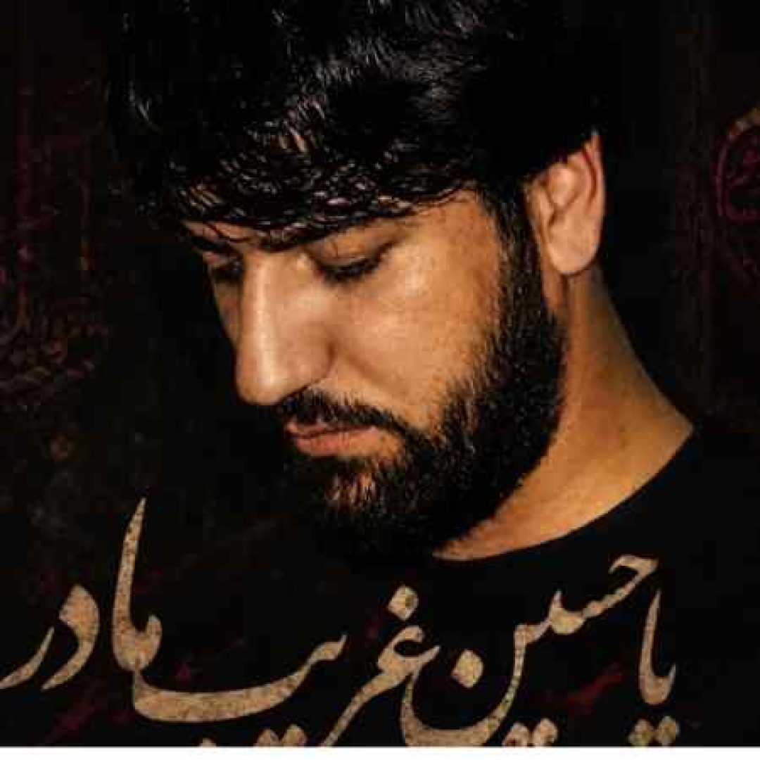 سید جواد ذاکری ای حسین غریب مادر