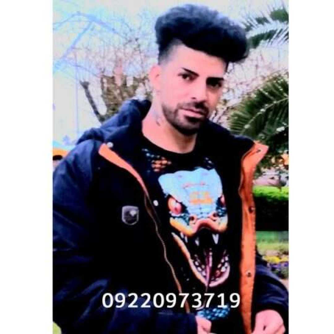 سیامک شیرزاد برگرد