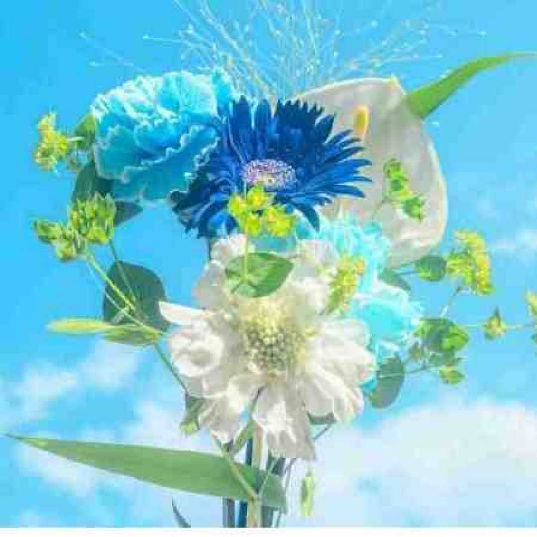 سمیرا کارزان بهسه بوم