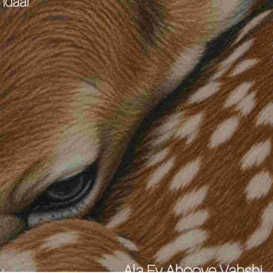 وندار الا ای آهوی وحشی